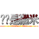 婷婷是繼米 (attack on titan)