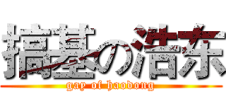 搞基の浩东 (gay of haodong)