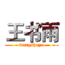 王书雨 (wangshuyu)