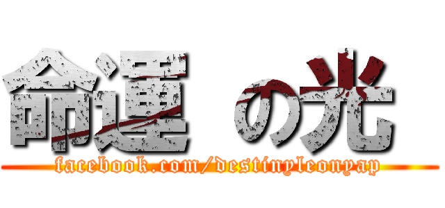 命運 の光  (facebook.com/destinyleonyap)