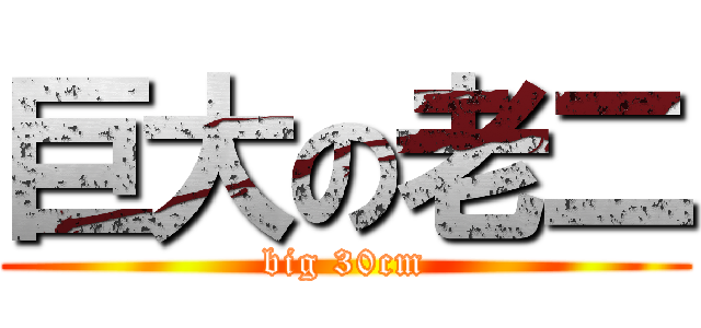 巨大の老二 (big 30cm)