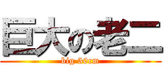 巨大の老二 (big 30cm)
