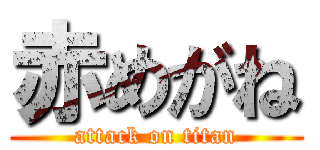 赤めがね (attack on titan)