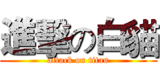 進擊の白貓 (attack on titan)