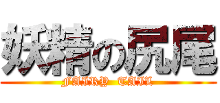 妖精の尻尾 (FAIRY  TAIL)