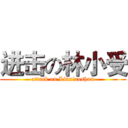 进击の林小受 (attack on Linxiaoshou)