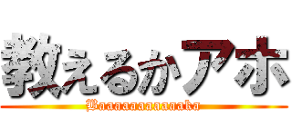 教えるかアホ (Baaaaaaaaaaaka)