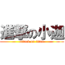 進撃の小迦 (attack on titan)