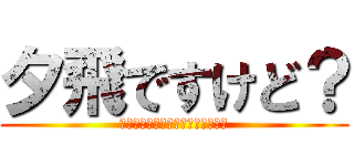 夕飛ですけど？ (か、絡んでくれてもいいんだからね)