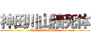 神田川山積死体 (USA  BOMBER)