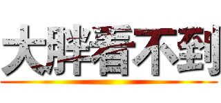 大胖看不到 ()