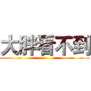 大胖看不到 ()