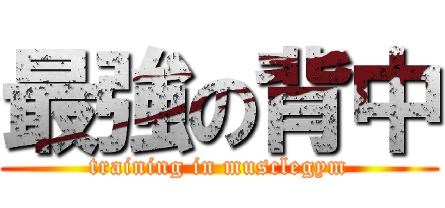 最強の背中 (training in musclegym)