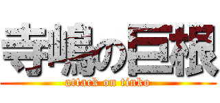 寺嶋の巨根 (attack on tinko)