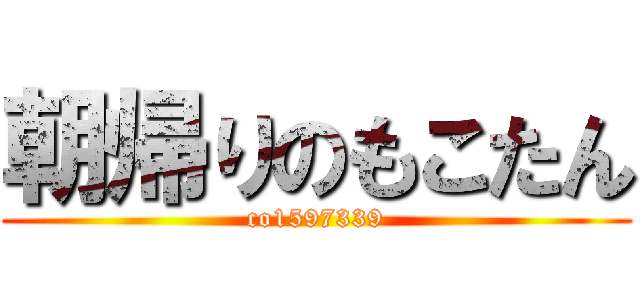 朝帰りのもこたん (co1597339)