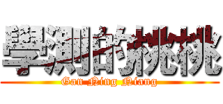 學測的桃桃 (Gan Ning Niang)
