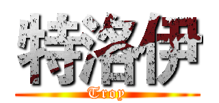 特洛伊 (Troy)