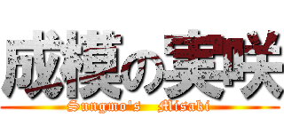 成模の実咲 (Sungmo's   Misaki)