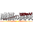 成模の実咲 (Sungmo's   Misaki)