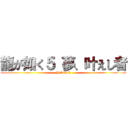 龍が如く５ 夢、叶えし者 (Yakuza5)