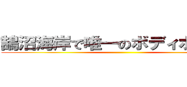 鵠沼海岸で唯一のボディボーダー ()