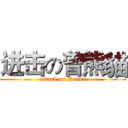 进击の曾熊貓 (attack on Panda)