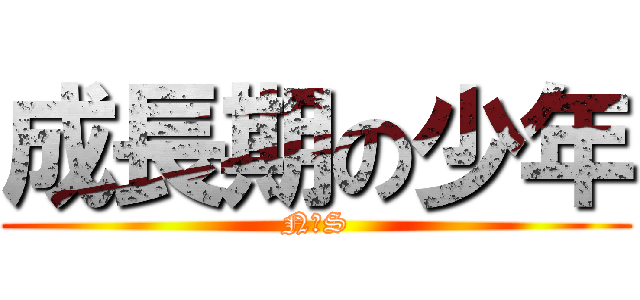 成長期の少年 (N・S)