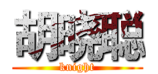 胡晓聪 (knight)