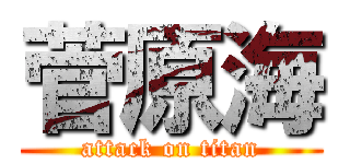 菅原海 (attack on titan)
