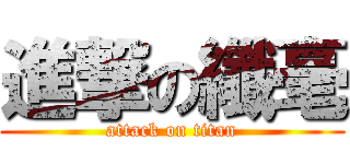 進撃の纖毫 (attack on titan)