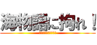 海物語に拘れ！ (ハイミドルも甘デジも)