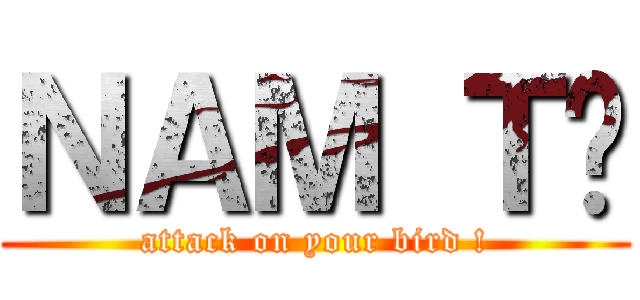 ＮＡＭ ＴÀ (attack on your bird !)