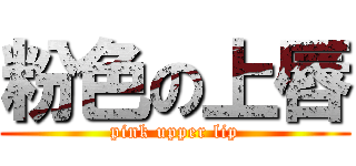 粉色の上唇 (pink upper lip)