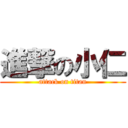 進撃の小仁 (attack on titan)