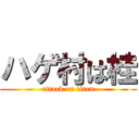 ハゲ村は桂 (attack on titan)