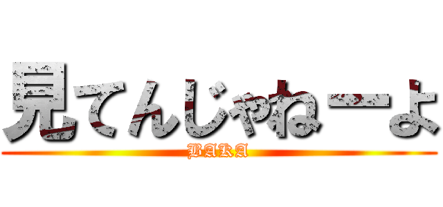 見てんじゃねーよ (BAKA)