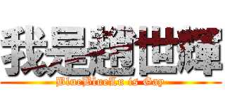我是趙世輝 (BlueBlueLu is Gay)