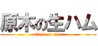 原木の生ハム (attack on titan)