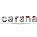 ｃａｒａｎａ (CARANA)