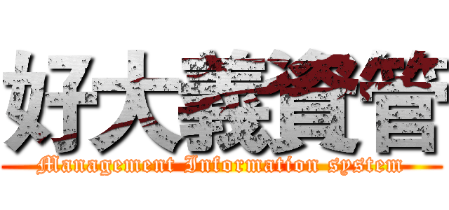 好大義資管 (Management Information system)