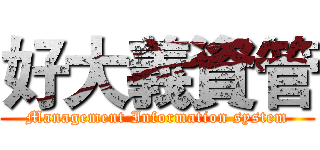 好大義資管 (Management Information system)