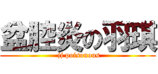 盆腔炎の羽琪 ( jj poisonous)