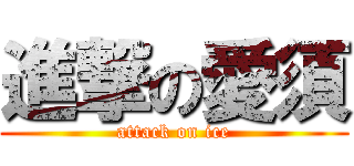 進撃の愛須 (attack on ice)