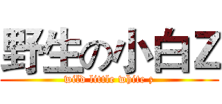 野生の小白Ｚ (wild little white z)