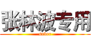 张林波专用 (saber)