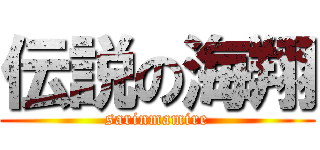 伝説の海翔 (sarinmamire)