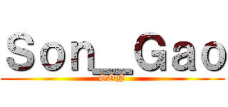 Ｓｏｎ＿Ｇａｏ (SON)