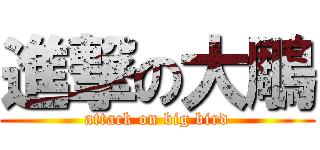進撃の大鵰 (attack on big bird)