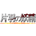 片羽の妖精 (Solo Wing Pixy)