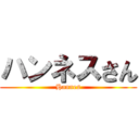 ハンネスさん (Hannes)
